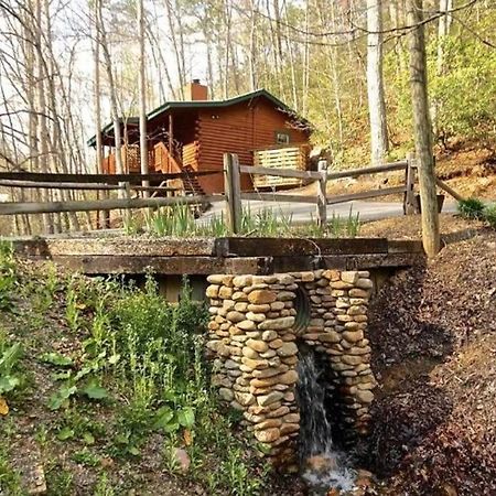 The Fishing Hole Cabin - Sage Vacations جاتلينبرج المظهر الخارجي الصورة